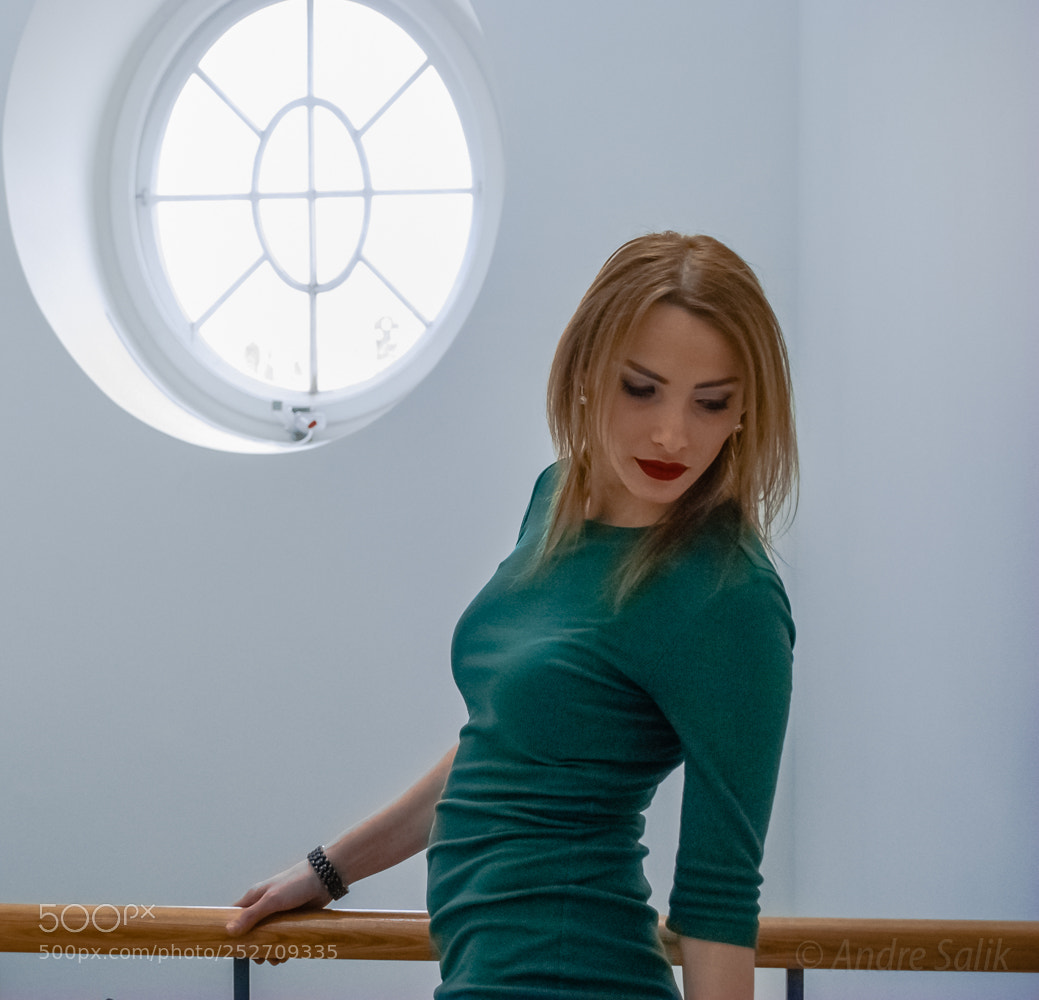 Nikon D60 sample photo. Художественный музей. photography