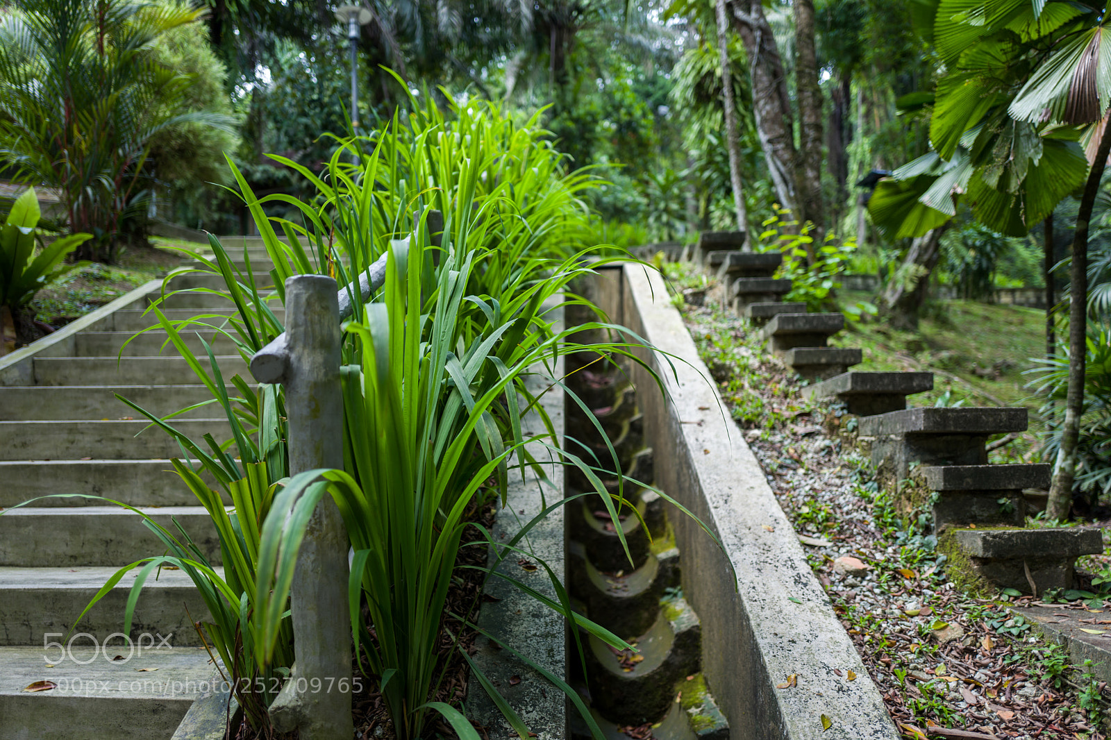 Leica Q (Typ 116) sample photo. The botanic garden in photography