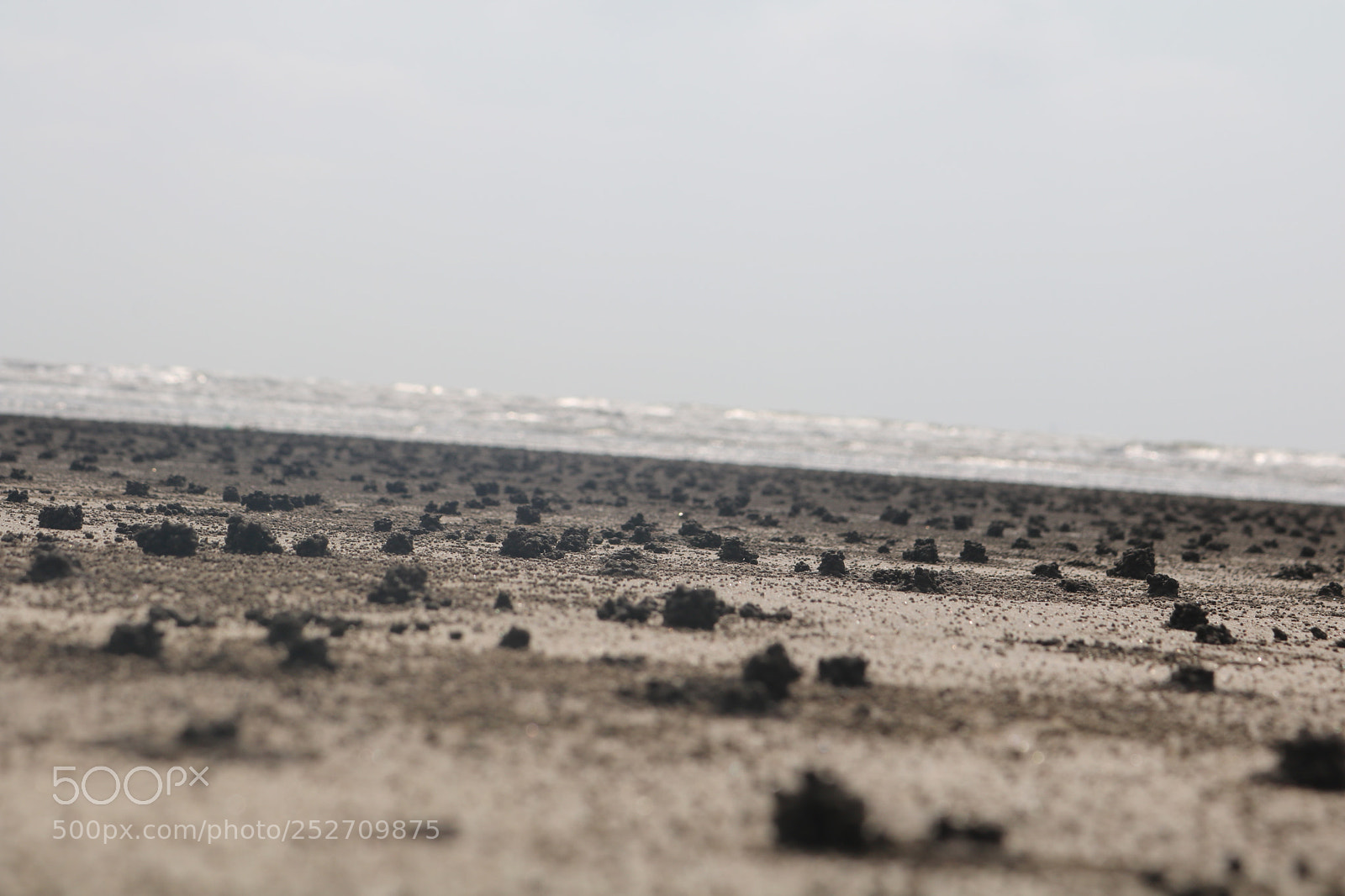 Canon EOS 750D (EOS Rebel T6i / EOS Kiss X8i) sample photo. Beach photography