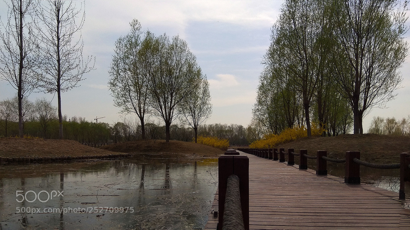 Xiaomi Redmi Note 4X sample photo. 6 photography