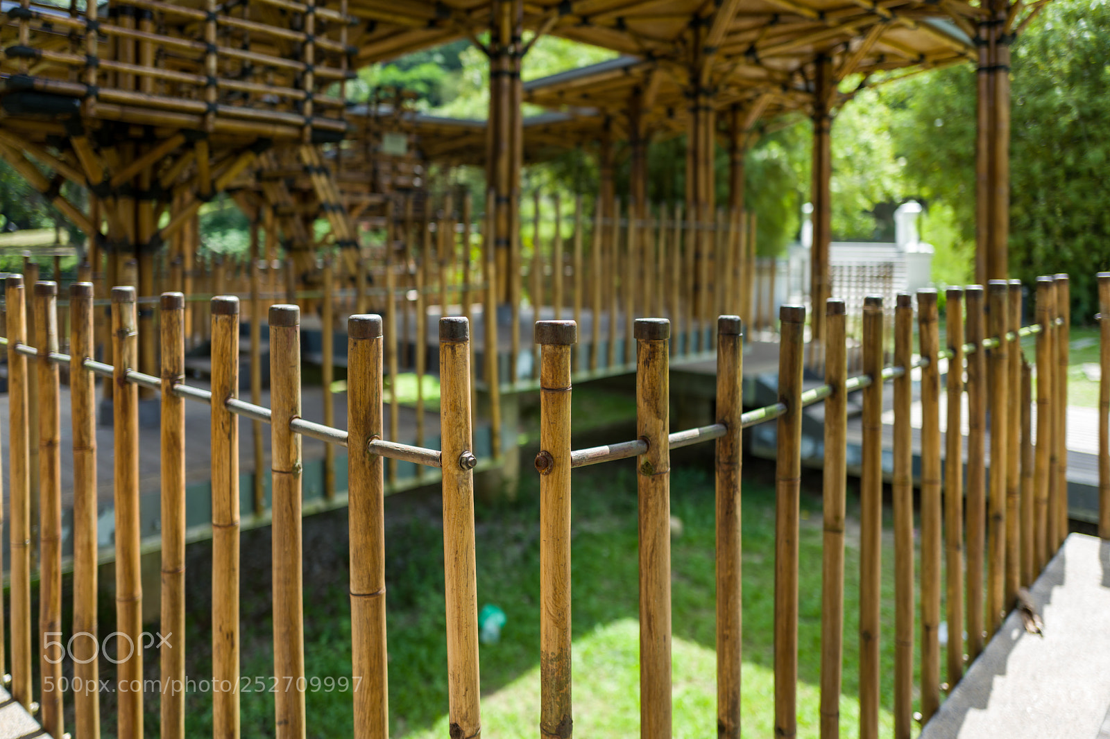 Leica Q (Typ 116) sample photo. The botanic garden in photography