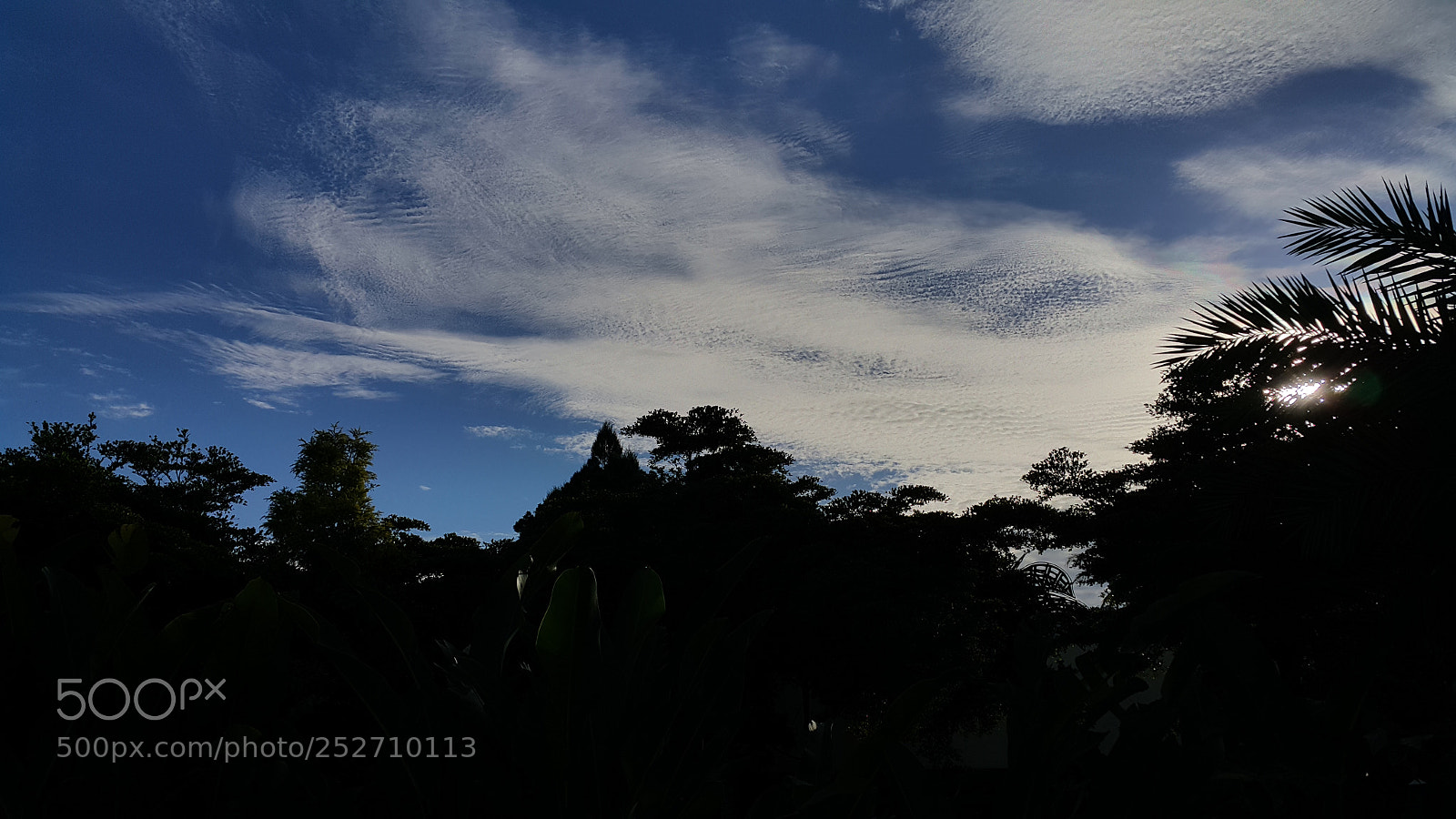 Samsung Galaxy Note4 sample photo. Silhouette - in the photography