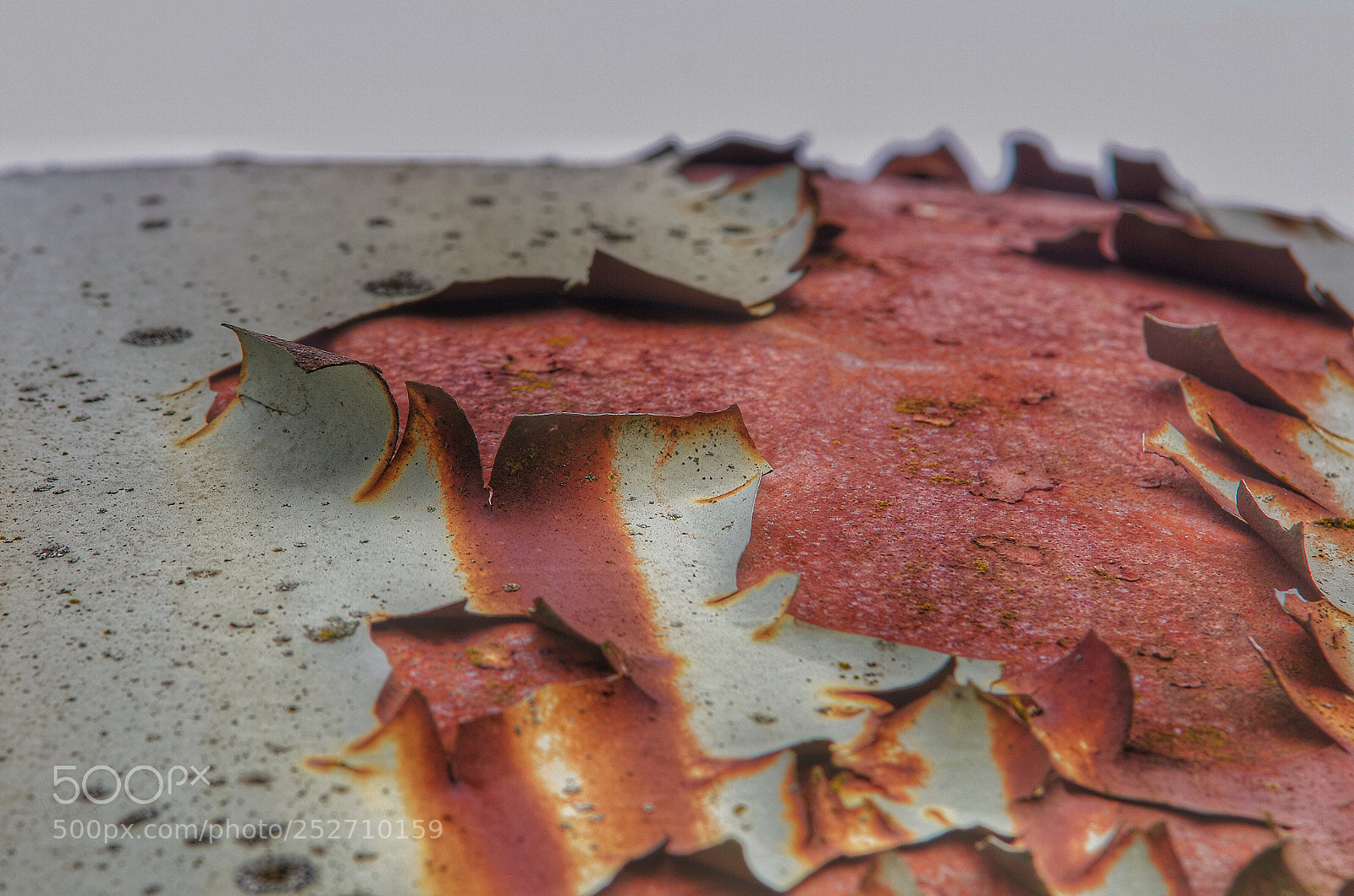 Pentax K-5 II sample photo. Rost photography
