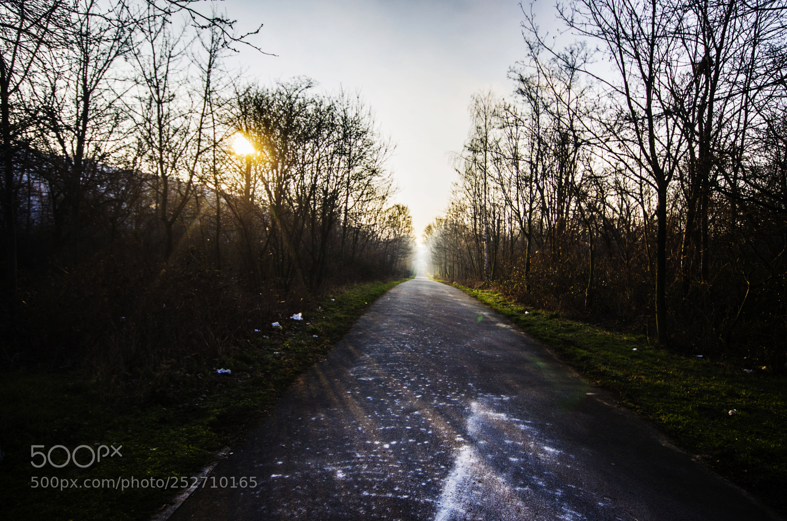Pentax K-5 sample photo. Morning fog photography