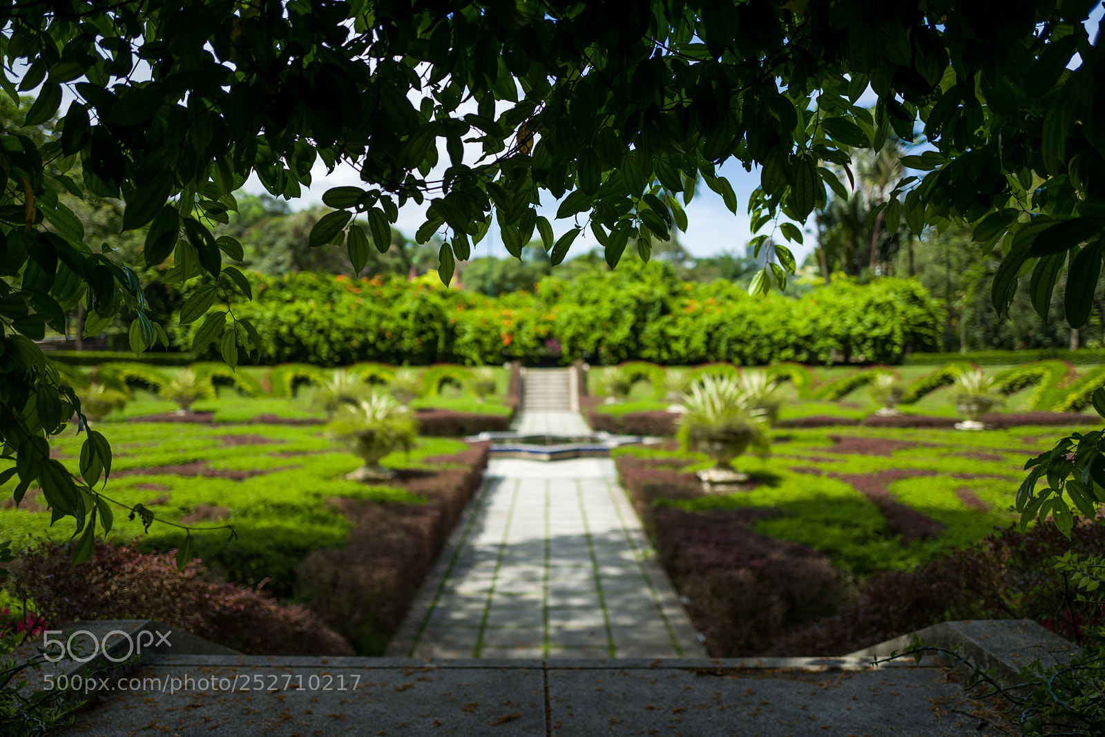Leica Q (Typ 116) sample photo. The botanic garden in photography
