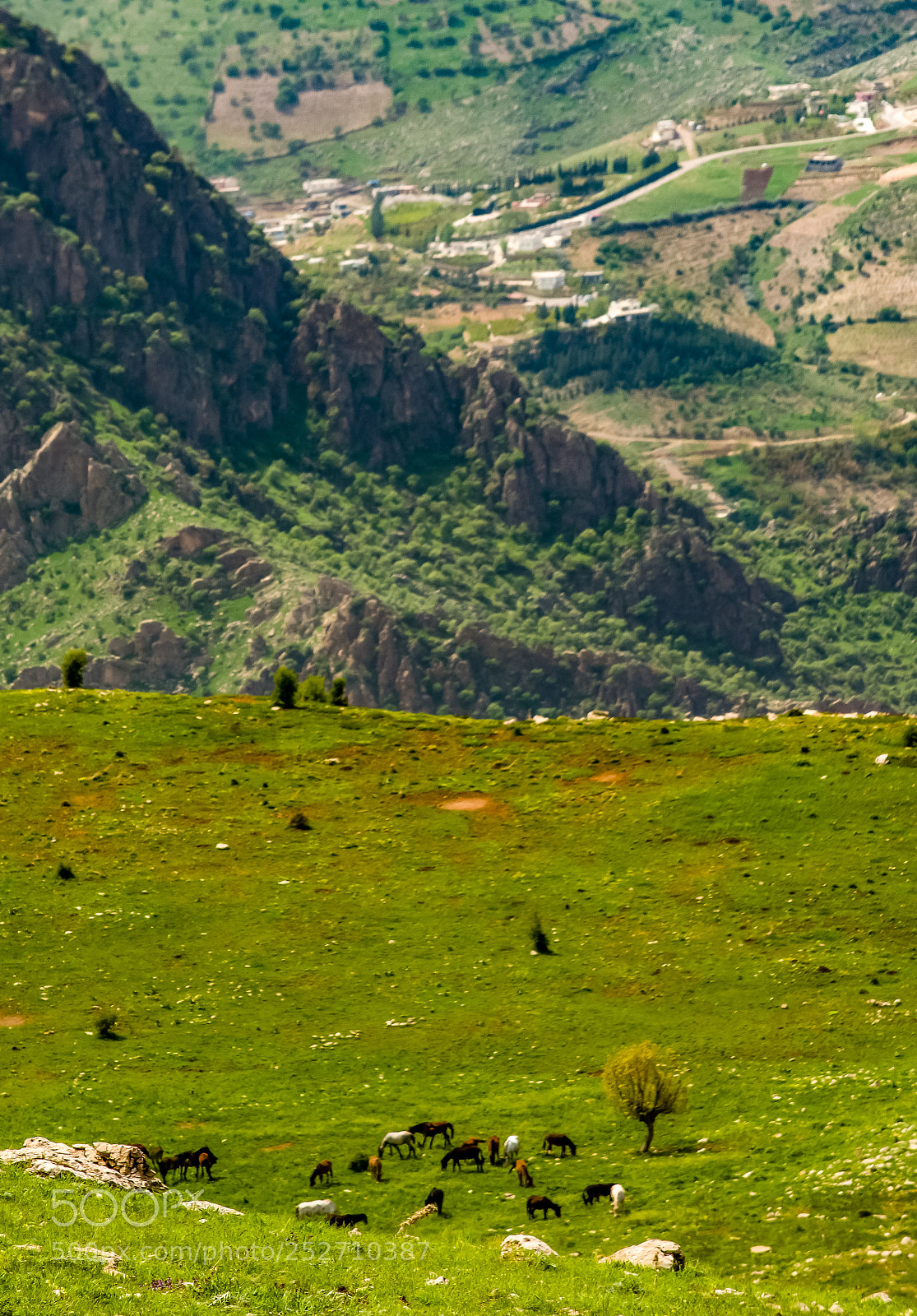 Nikon D7100 sample photo. In the mountains photography