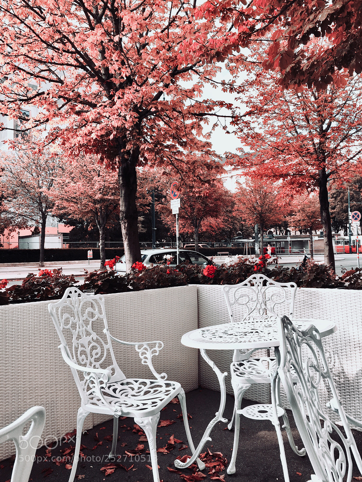 Apple iPhone 6s sample photo. Wien en rose photography