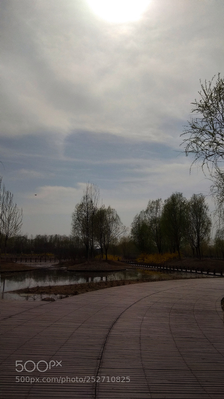 Xiaomi Redmi Note 4X sample photo. 8 photography