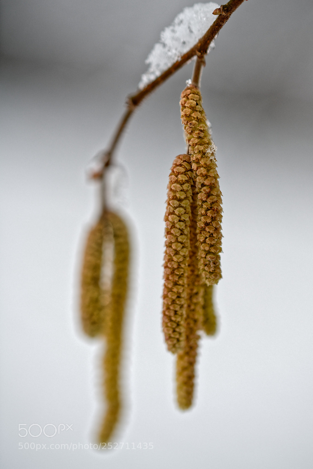 Nikon D850 sample photo. Dxo photography