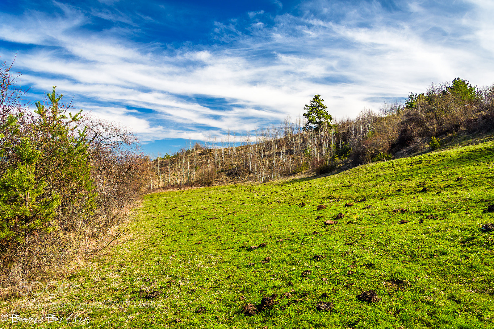 Nikon D7200 sample photo. Spring meadow photography