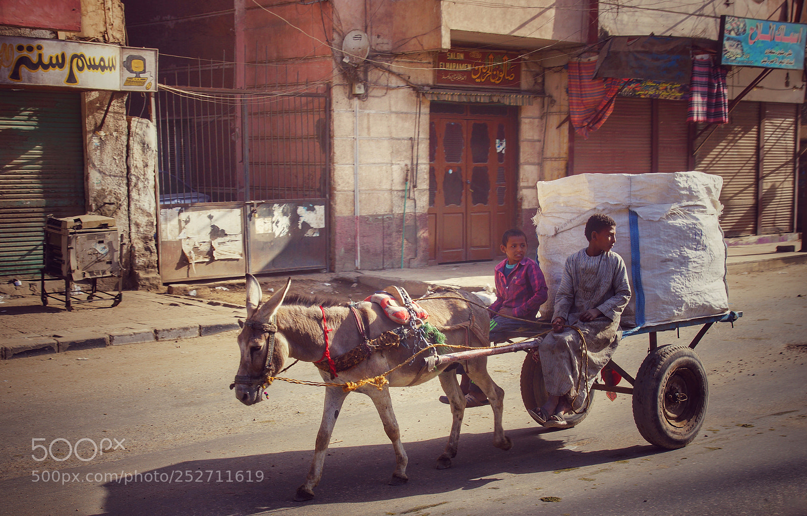 Sony SLT-A77 sample photo. Egyptians photography