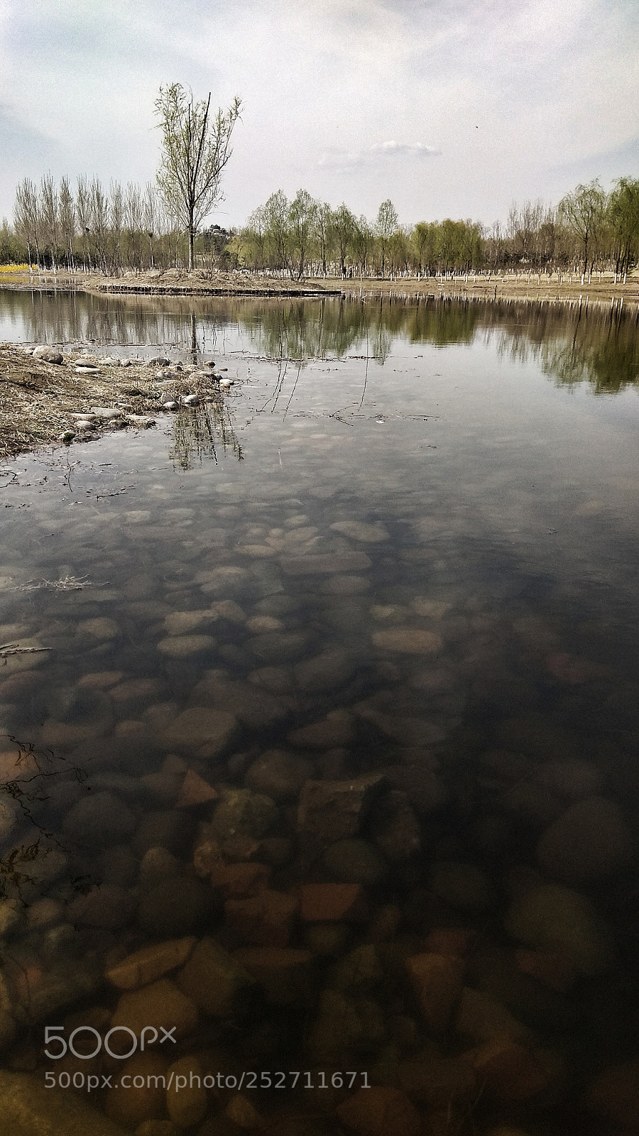 Xiaomi Redmi Note 4X sample photo. 10 photography