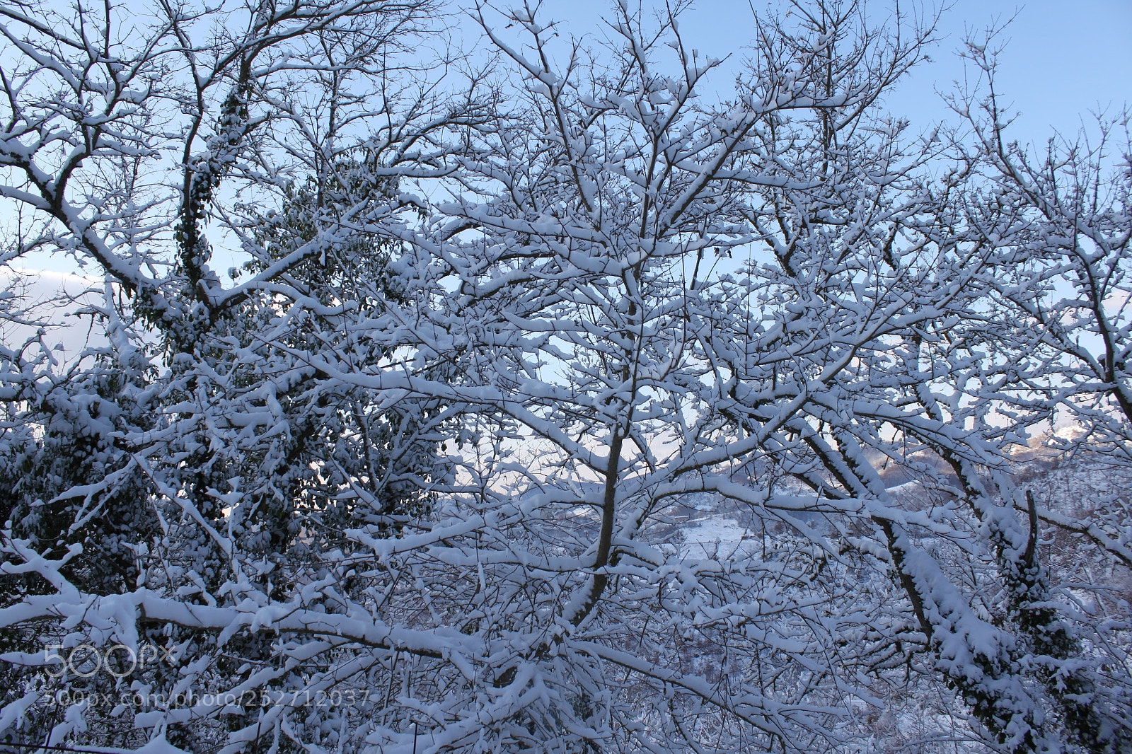 Canon EF-S 18-55mm F3.5-5.6 IS sample photo. Winter wonderland photography