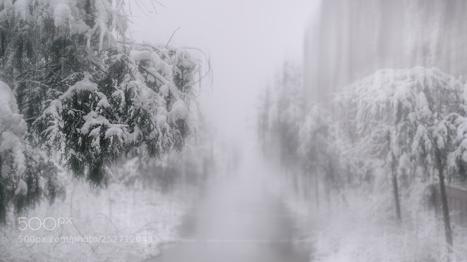 Nikon Df sample photo. April snow photography