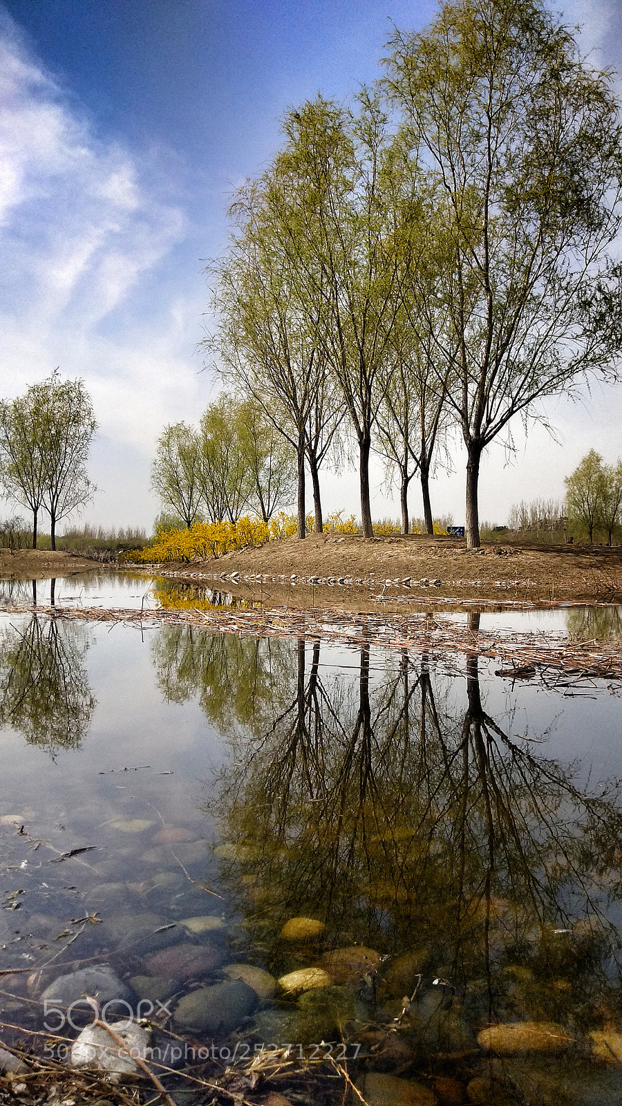 Xiaomi Redmi Note 4X sample photo. 12 photography