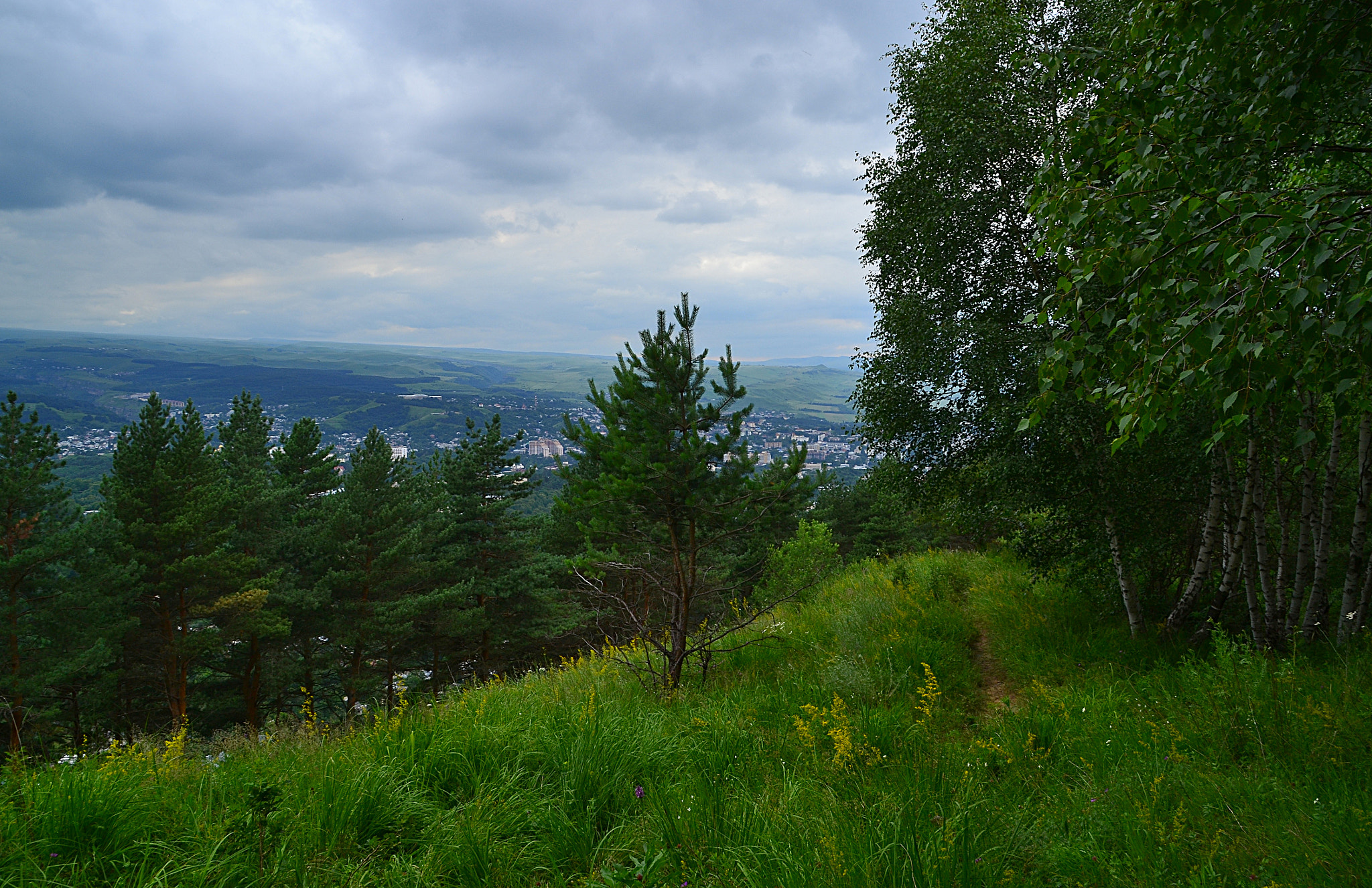 Nikon D3100 sample photo. Lush midlands greenery photography