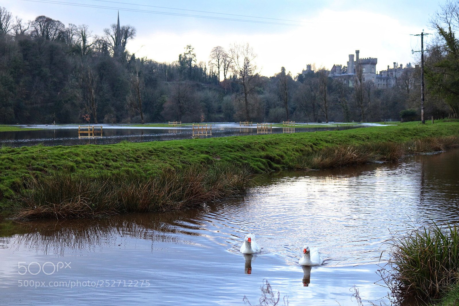 Canon EOS 77D (EOS 9000D / EOS 770D) sample photo. The calm after the photography