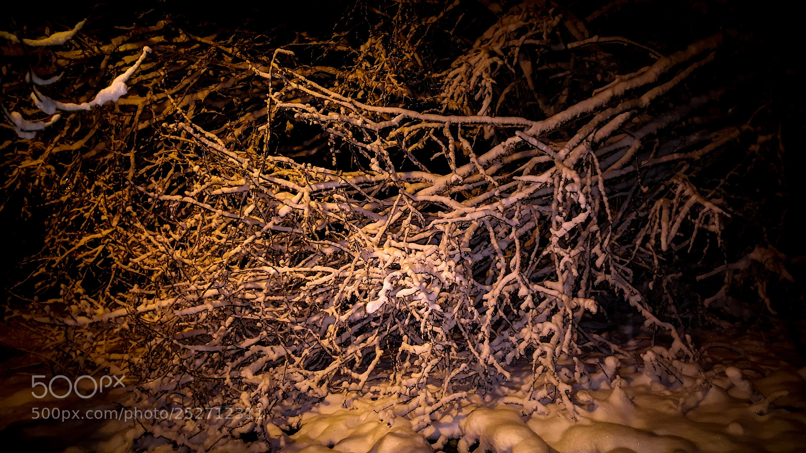 Samsung GALAXY S6 edge sample photo. Lrm exp photography