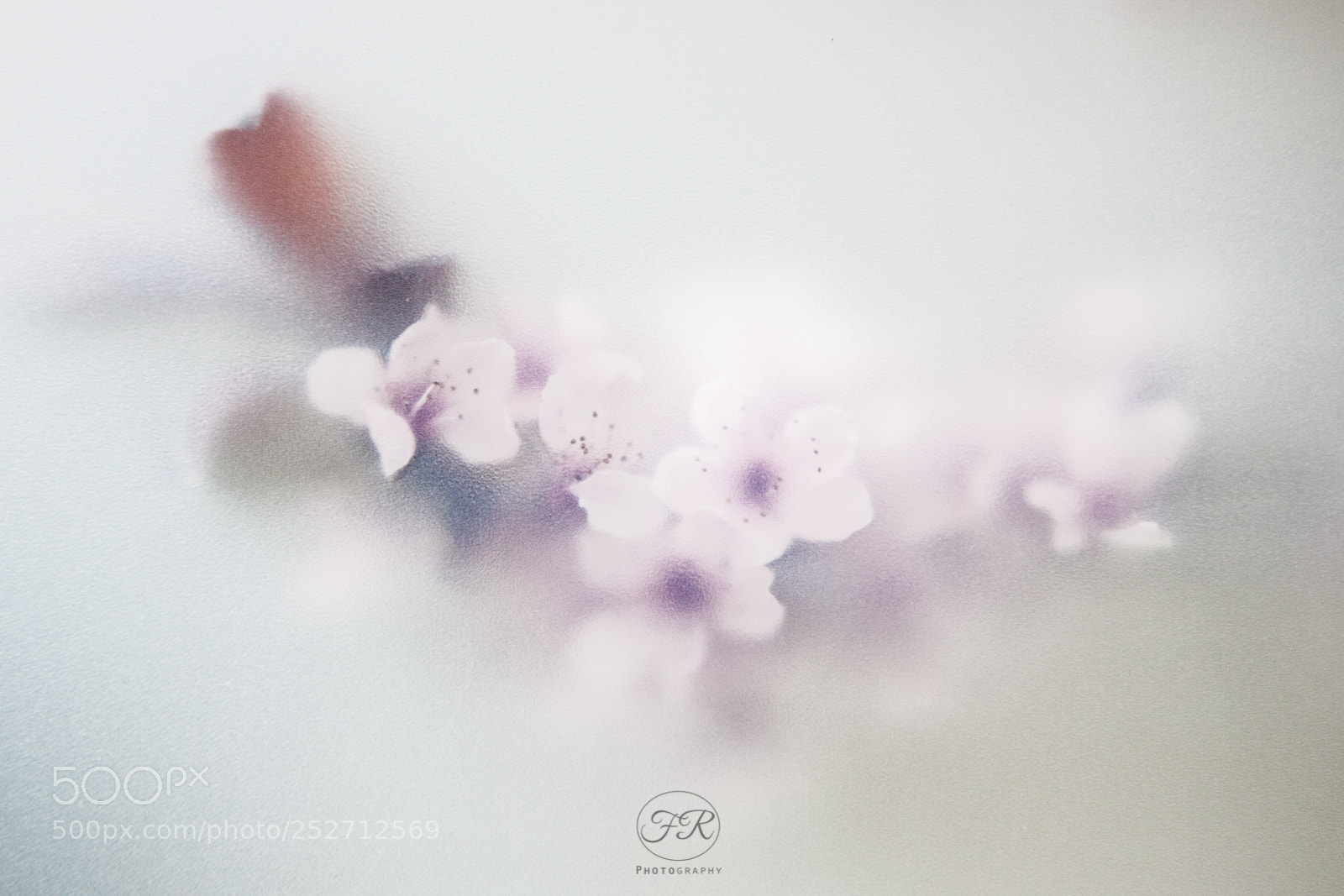 Canon EOS 5D Mark II sample photo. Focus_on_spring photography