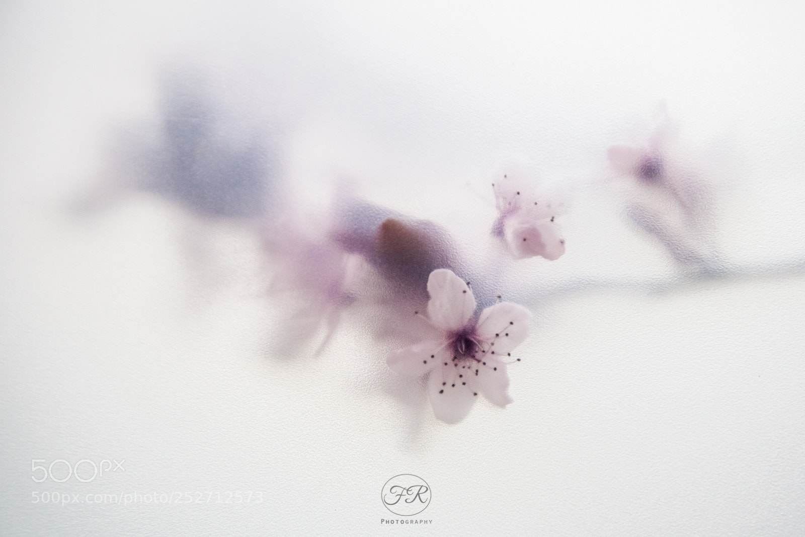 Canon EOS 5D Mark II sample photo. Focus_on_spring photography