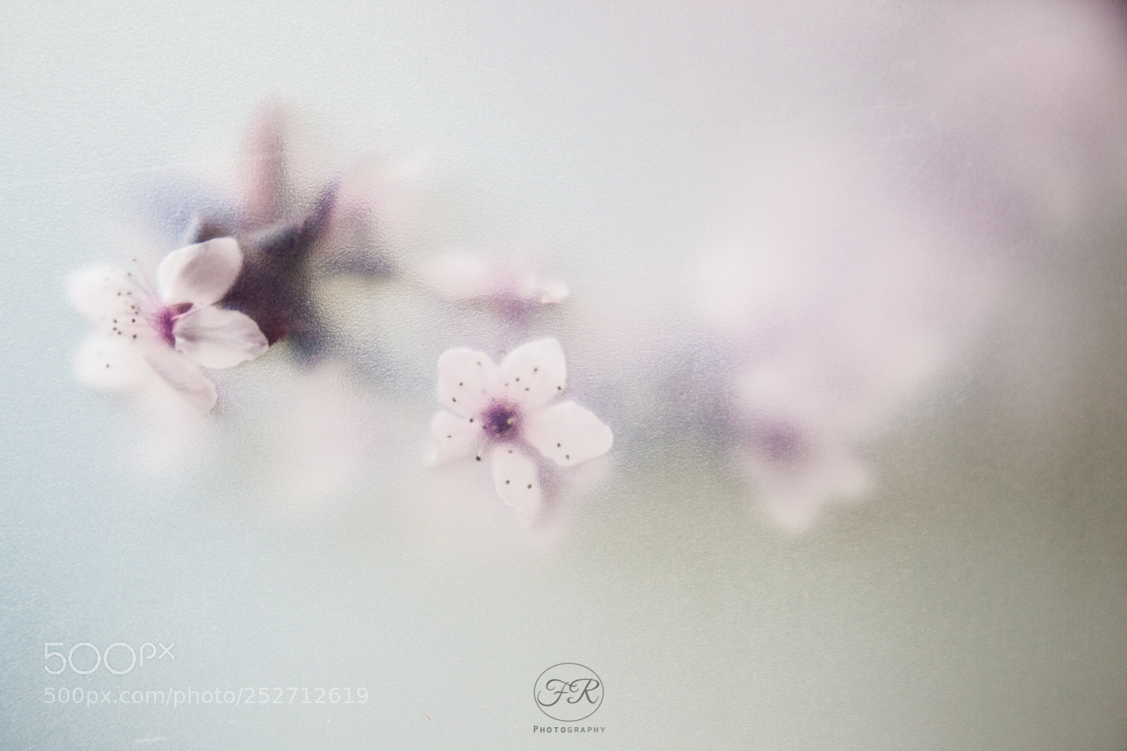 Canon EOS 5D Mark II sample photo. Focus_on_spring photography