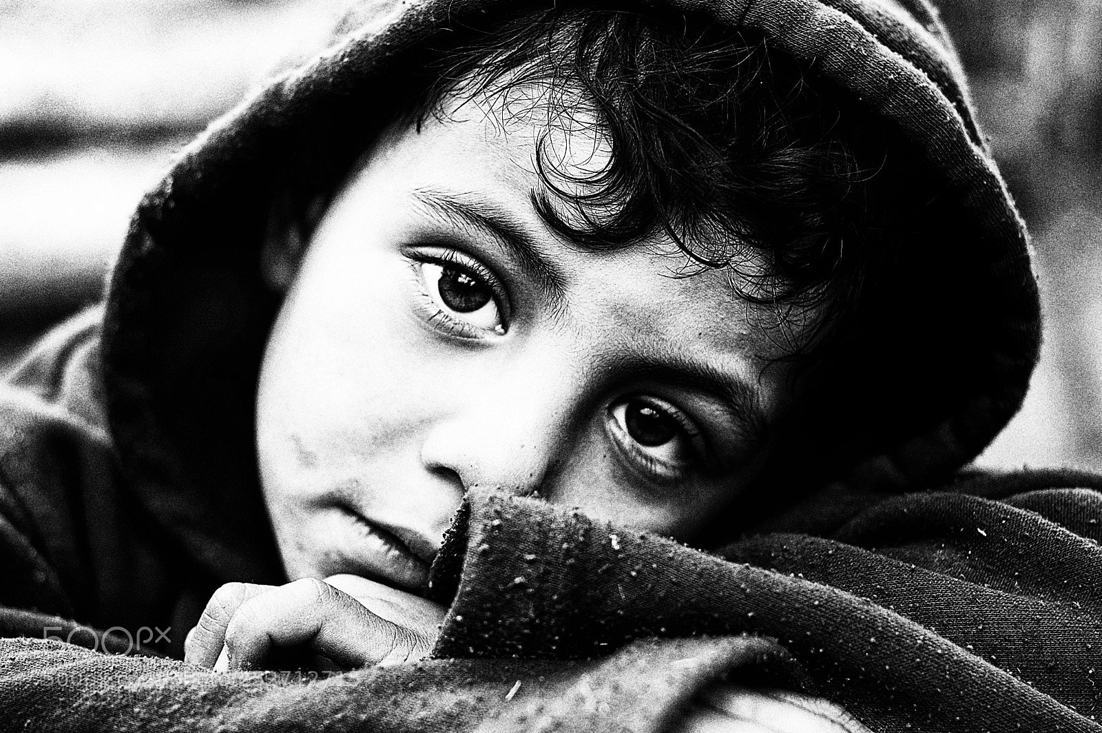 Nikon D70 sample photo. Bw dsc photography