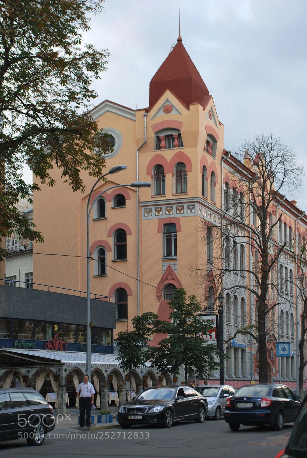 Nikon D60 sample photo. дом и засохшее дерево photography