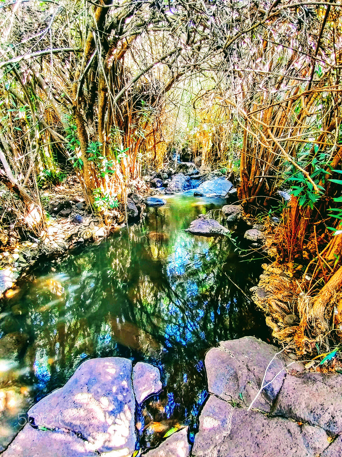 LG V20 sample photo. Untitled photography