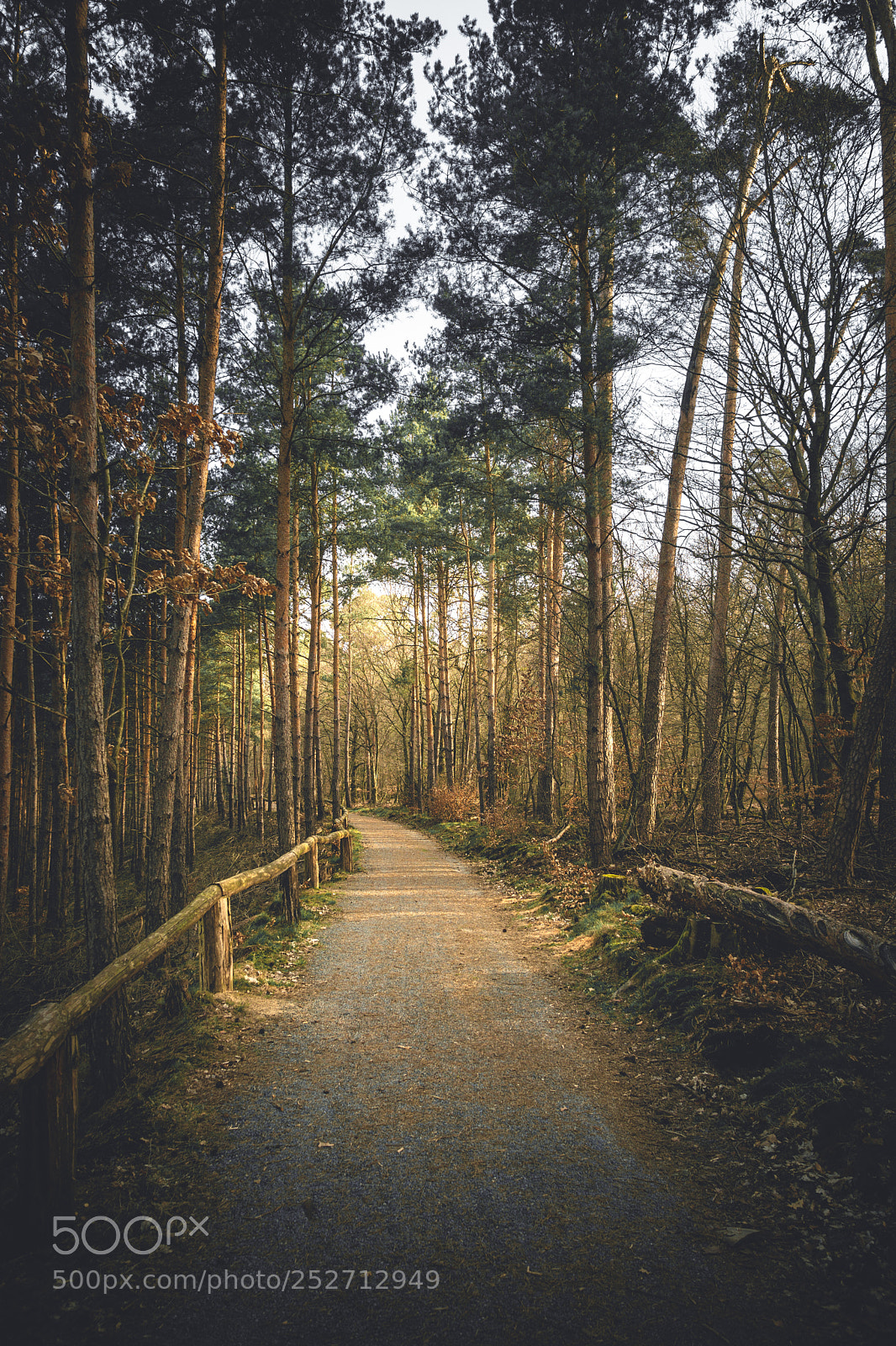 Sony a6000 sample photo. Hiking photography