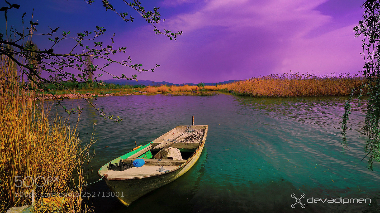 Sony a7R II sample photo. Purple silence / 080418039 photography