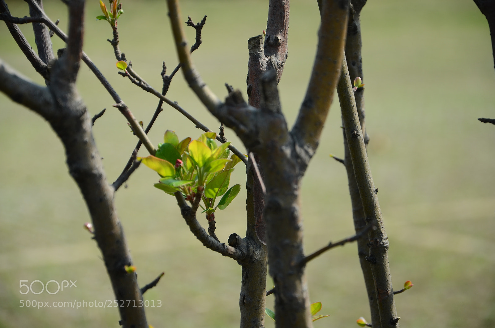Nikon D7000 sample photo. Untitled photography