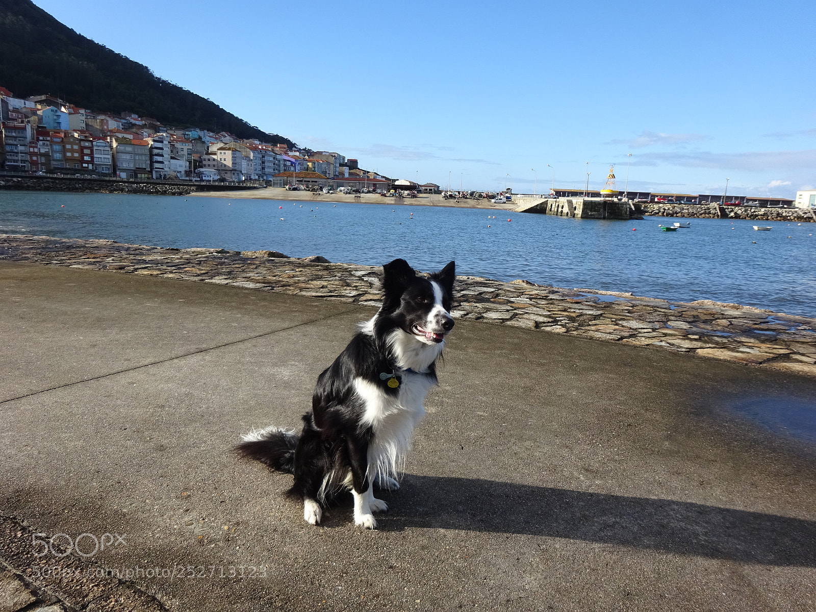 Sony Cyber-shot DSC-WX350 sample photo. Dsc photography