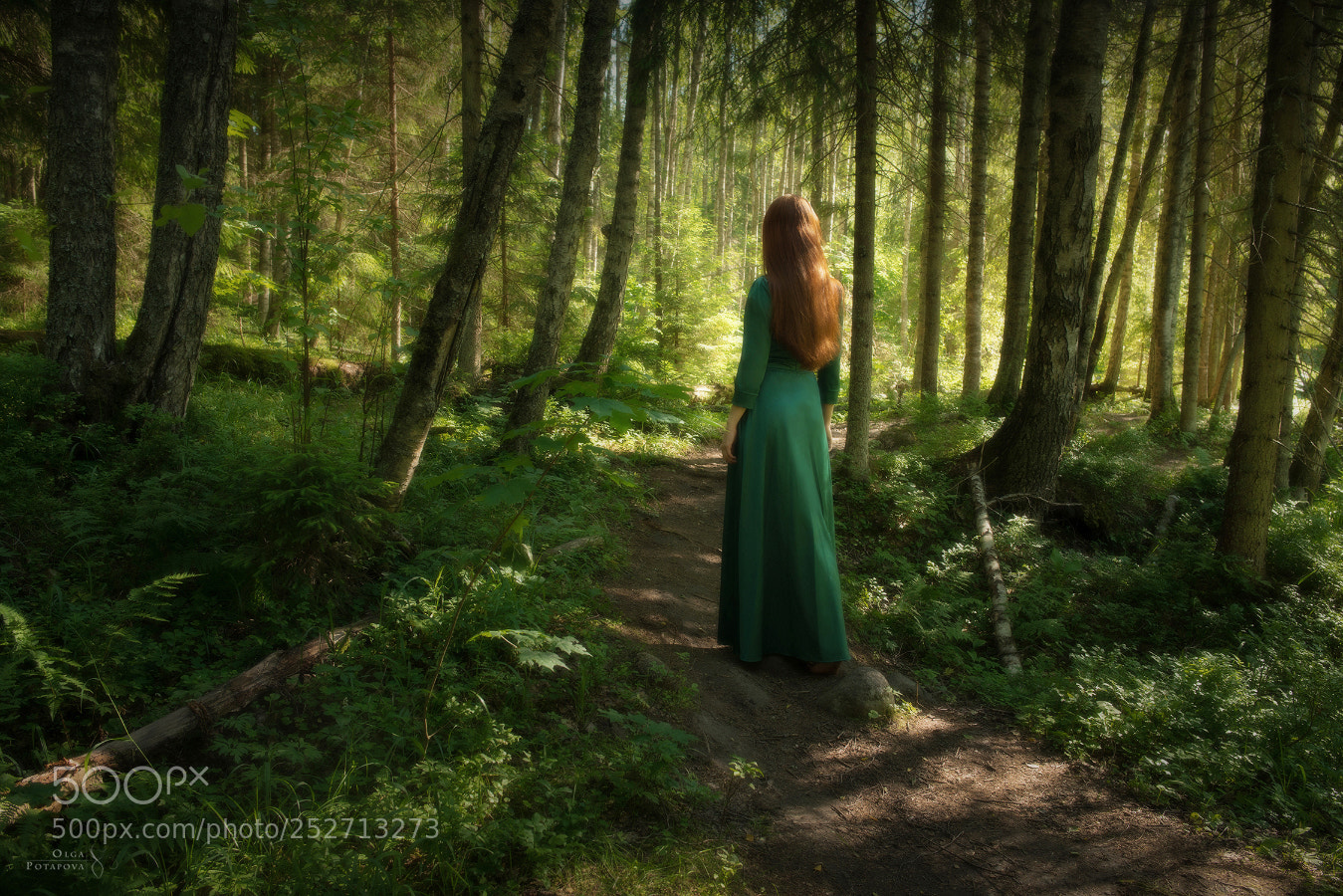 Nikon D800 sample photo. On the magical path photography
