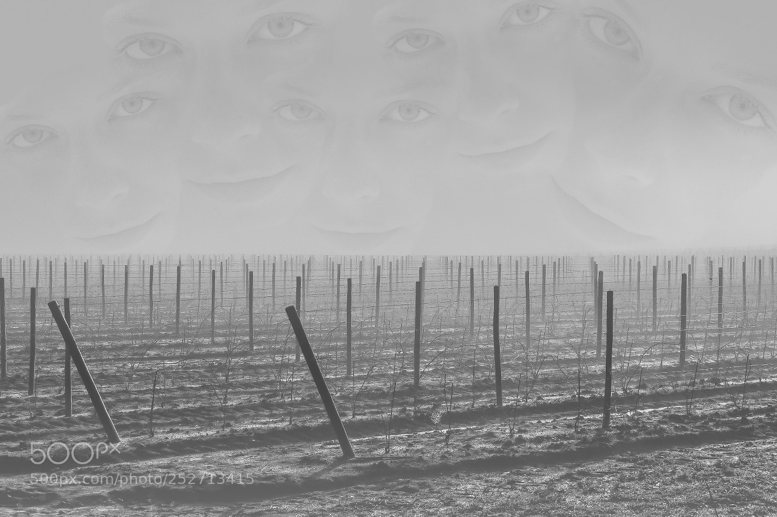 Canon EOS 70D sample photo. Under the wine photography