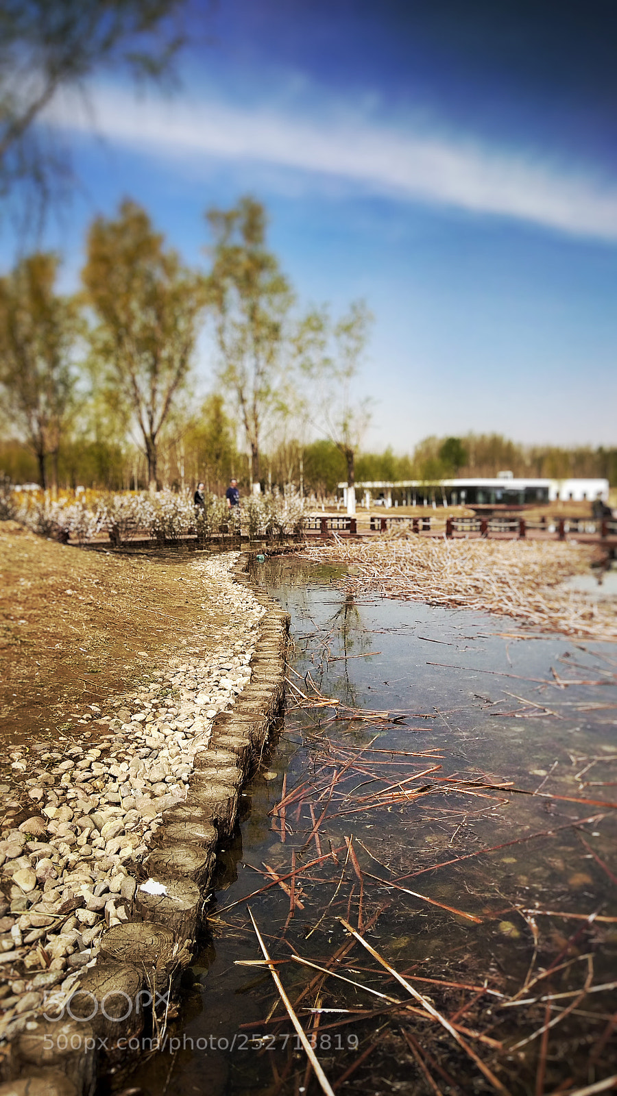 Xiaomi Redmi Note 4X sample photo. 14 photography