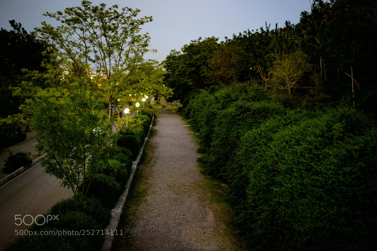 Nikon D3300 sample photo. Walking pathway in koohsangi photography
