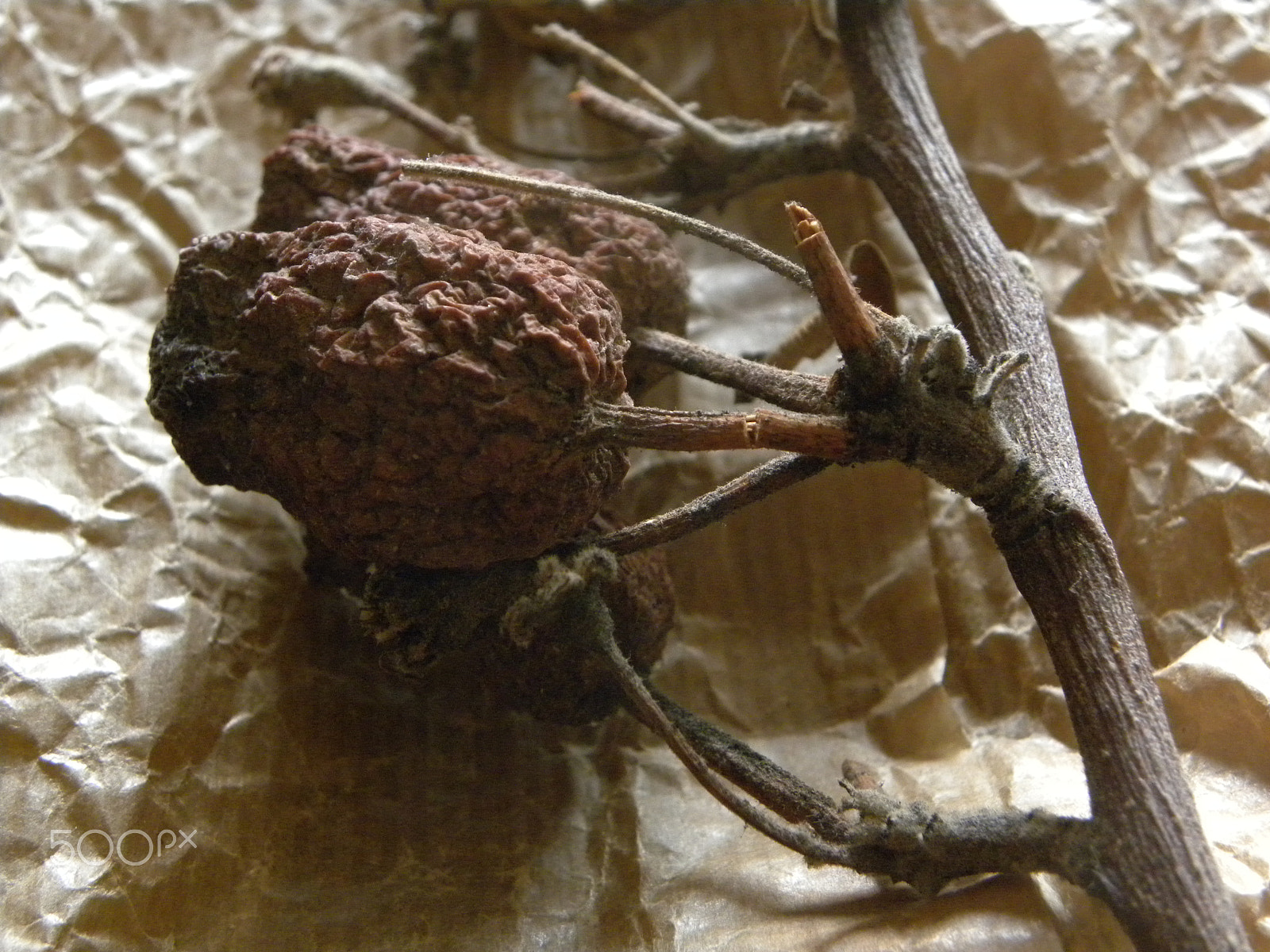 Nikon Coolpix P90 sample photo. Pomme appl dried apple photography