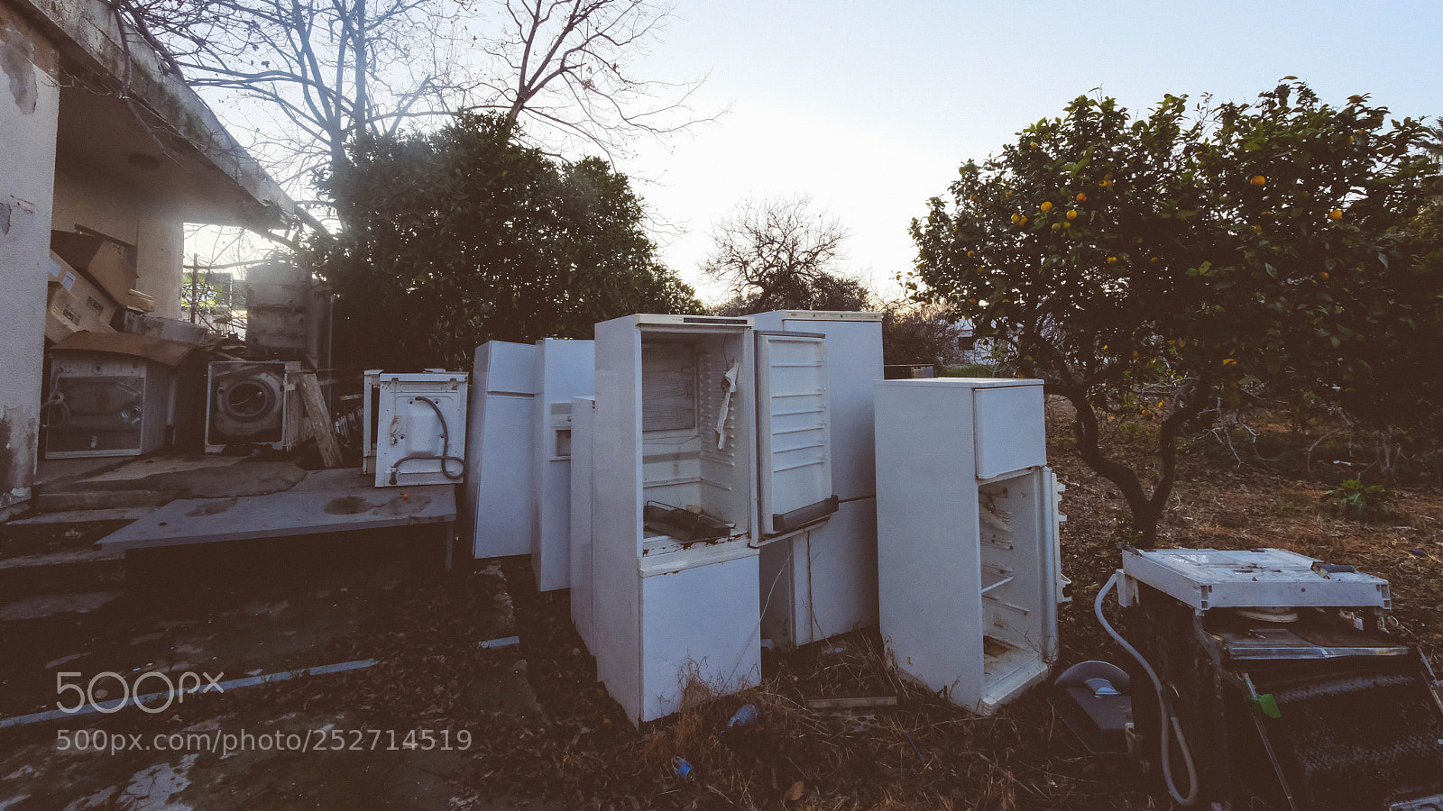 Fujifilm X-T20 sample photo. Your fridge is running photography