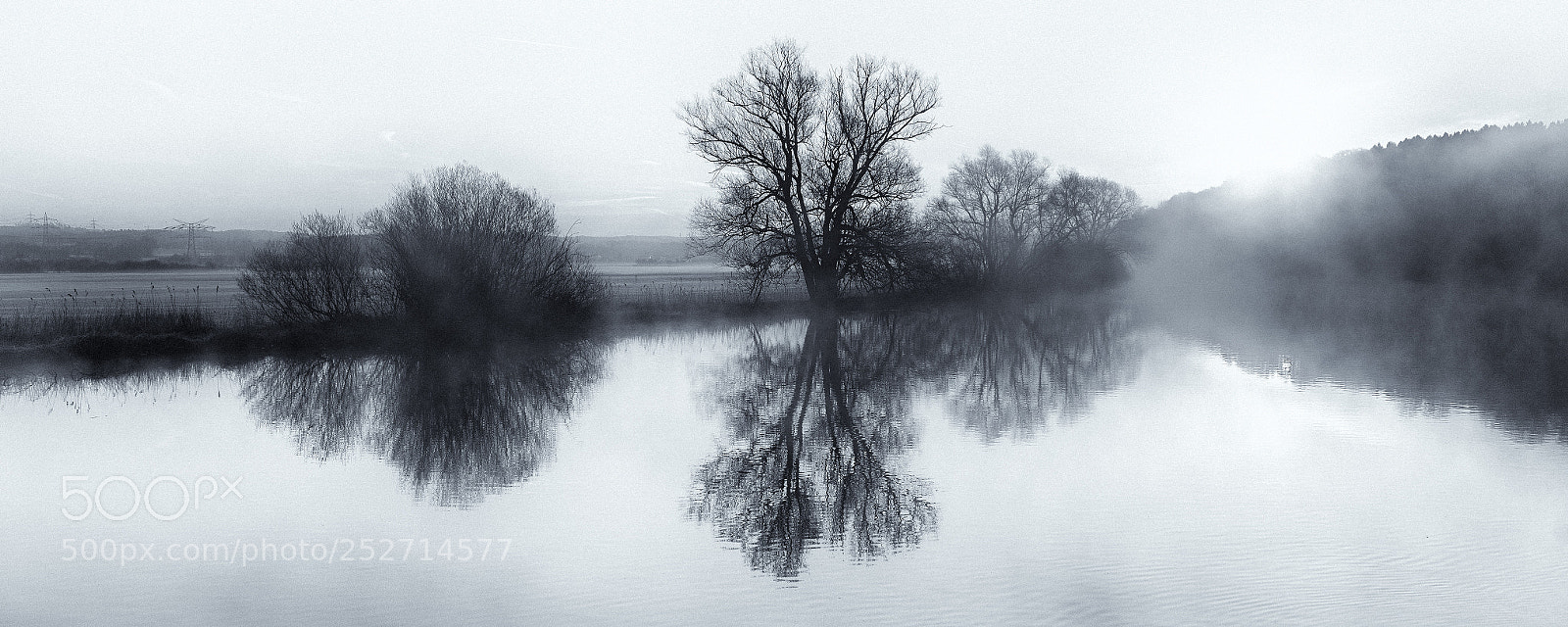 Nikon D810 sample photo. River ruhr in the photography