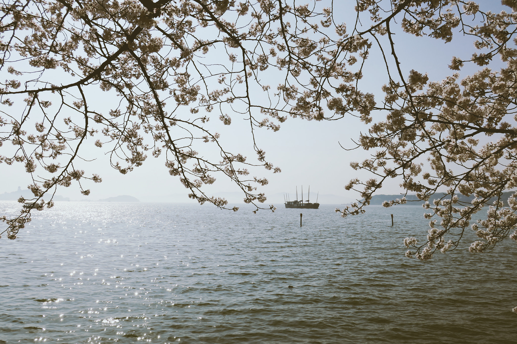 Canon PowerShot G9 X sample photo. Taihu lake in the spring photography