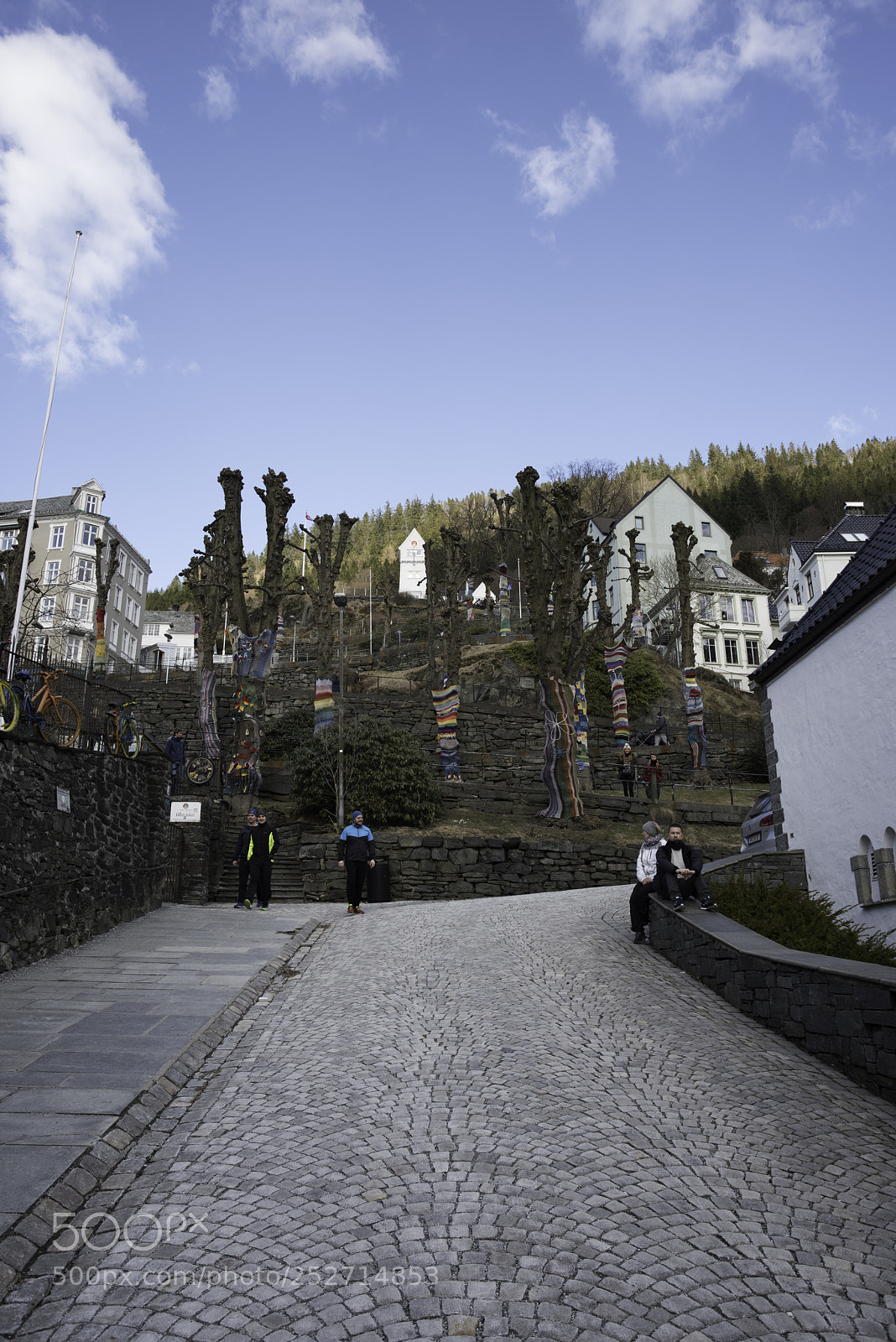 Nikon D810 sample photo. Bergen photography