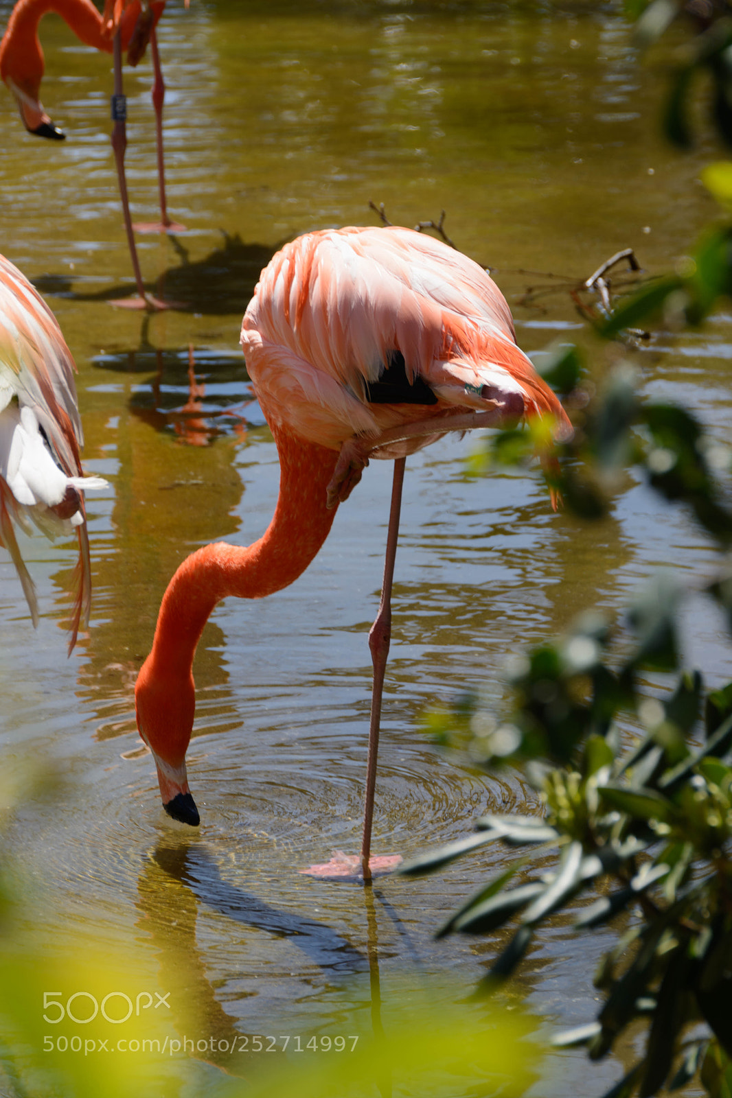 Nikon D7100 sample photo. Cazado ¡¡ photography