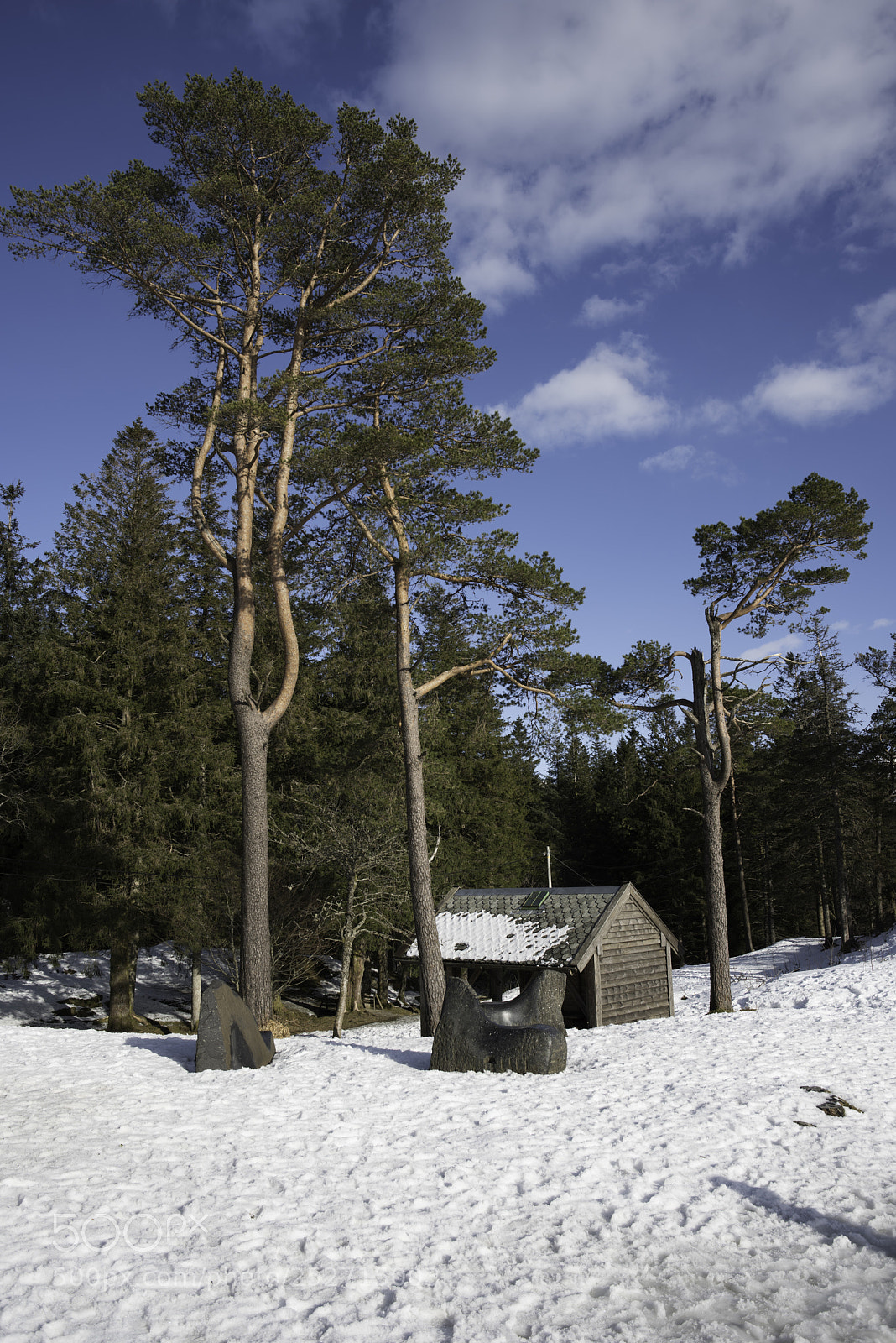 Nikon D810 sample photo. Bergen photography