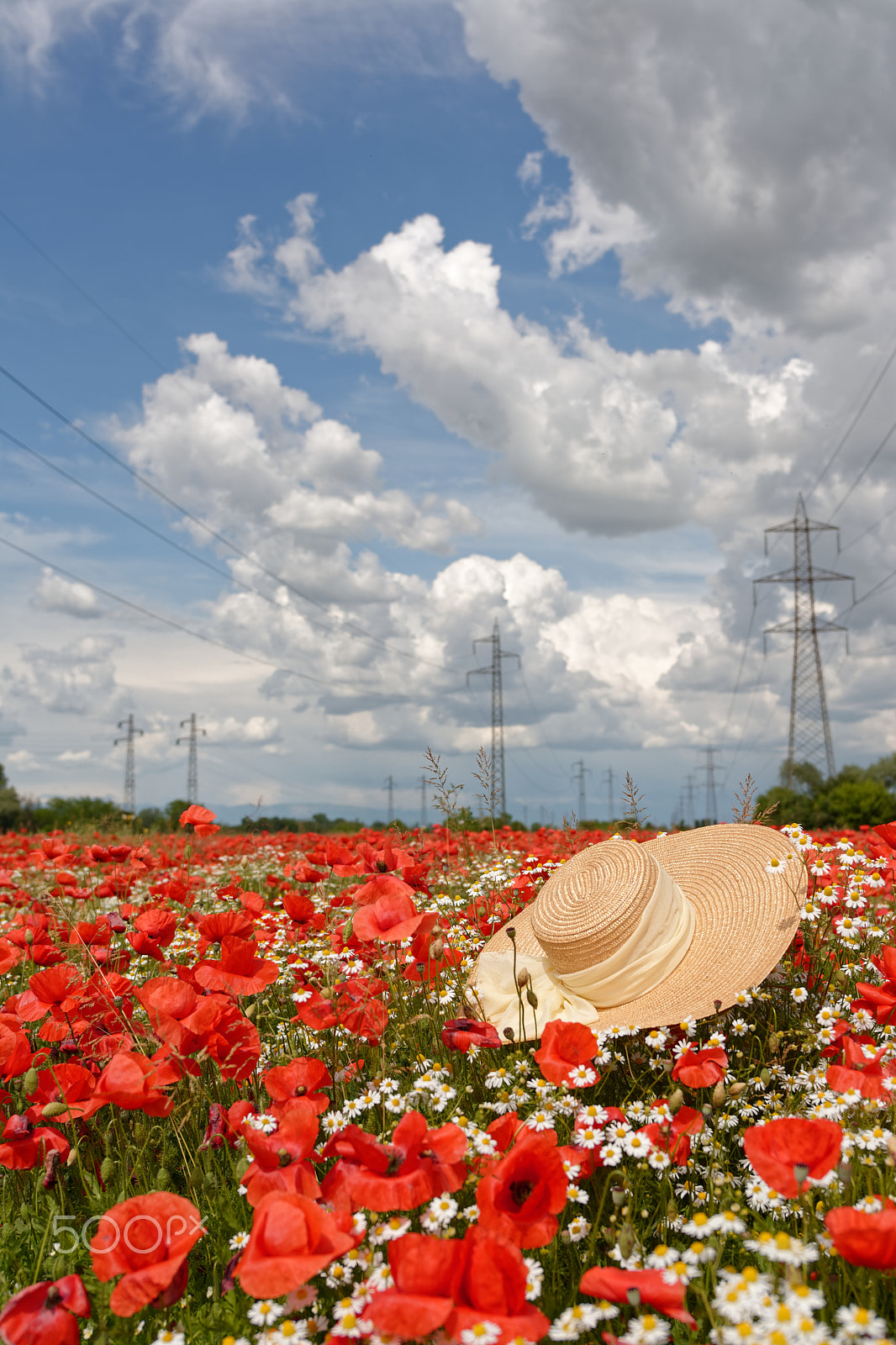 Nikon AF-S Nikkor 14-24mm F2.8G ED sample photo. Straw hat photography