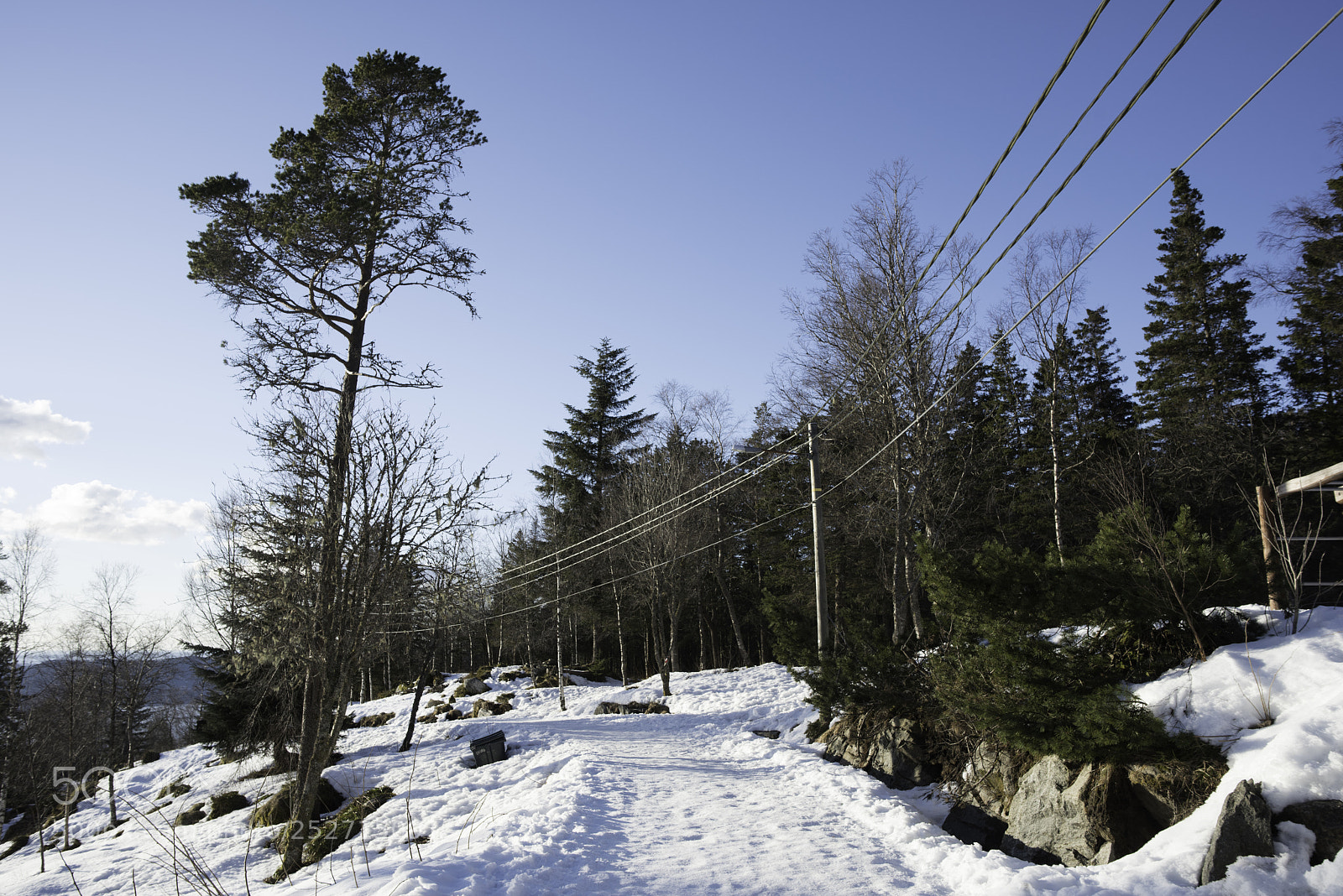 Nikon D810 sample photo. Bergen photography