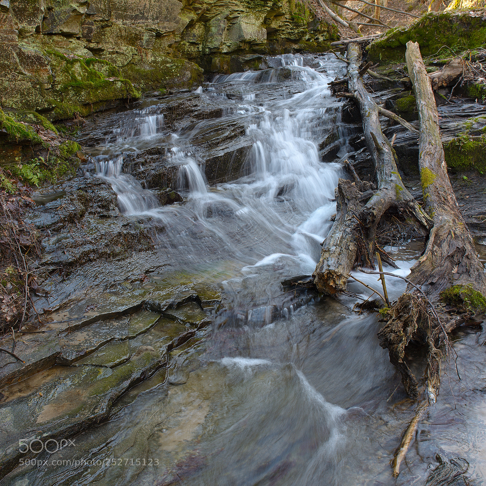 Nikon D7100 sample photo. Spring flow photography