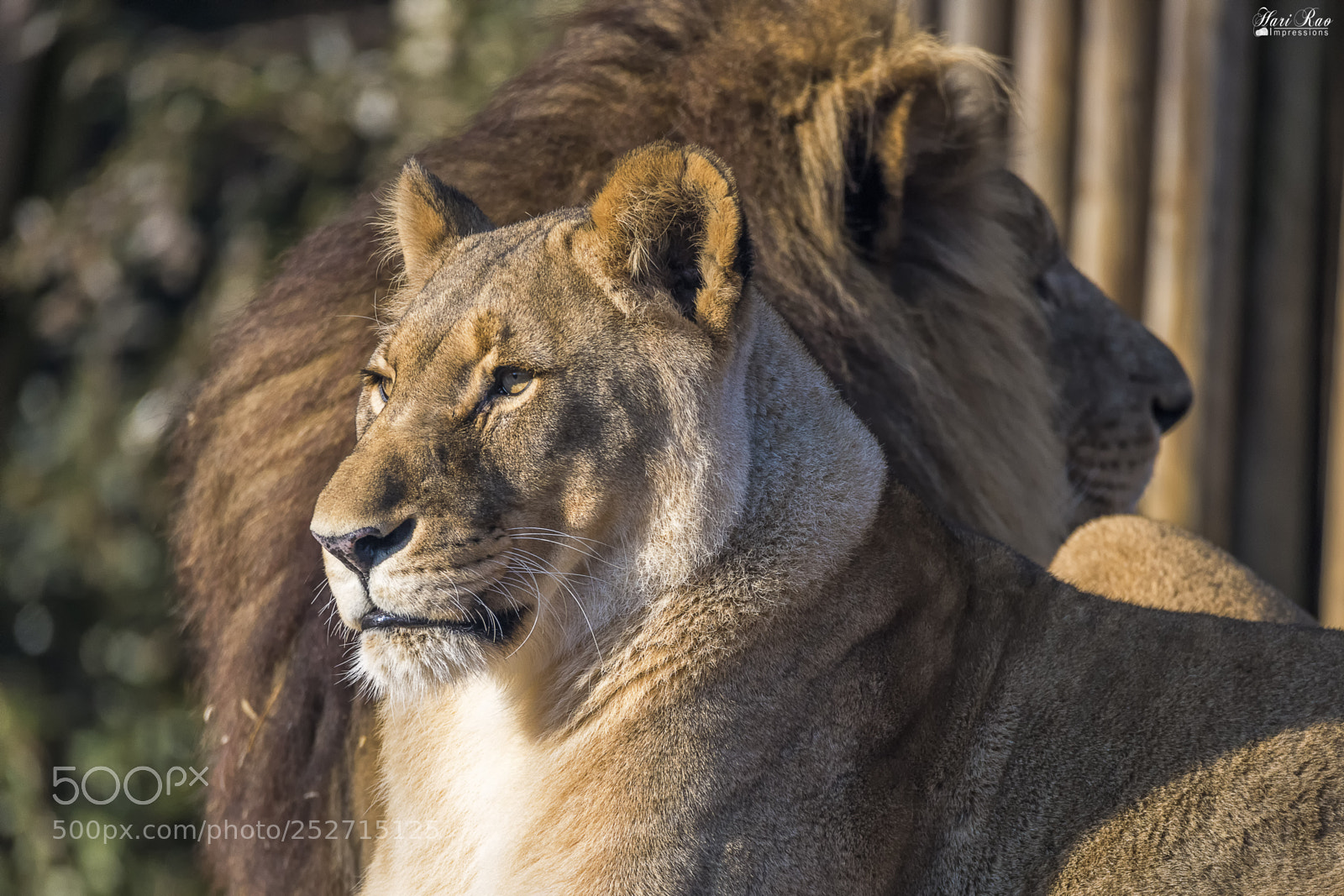 Nikon D810 sample photo. You and i . . . photography