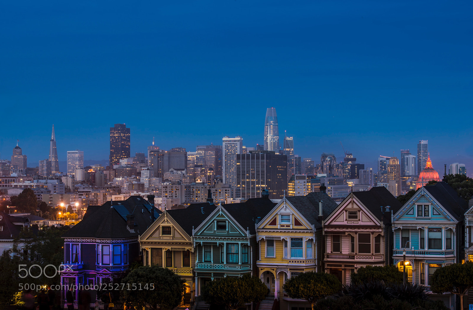 Nikon D800 sample photo. Painted ladies photography
