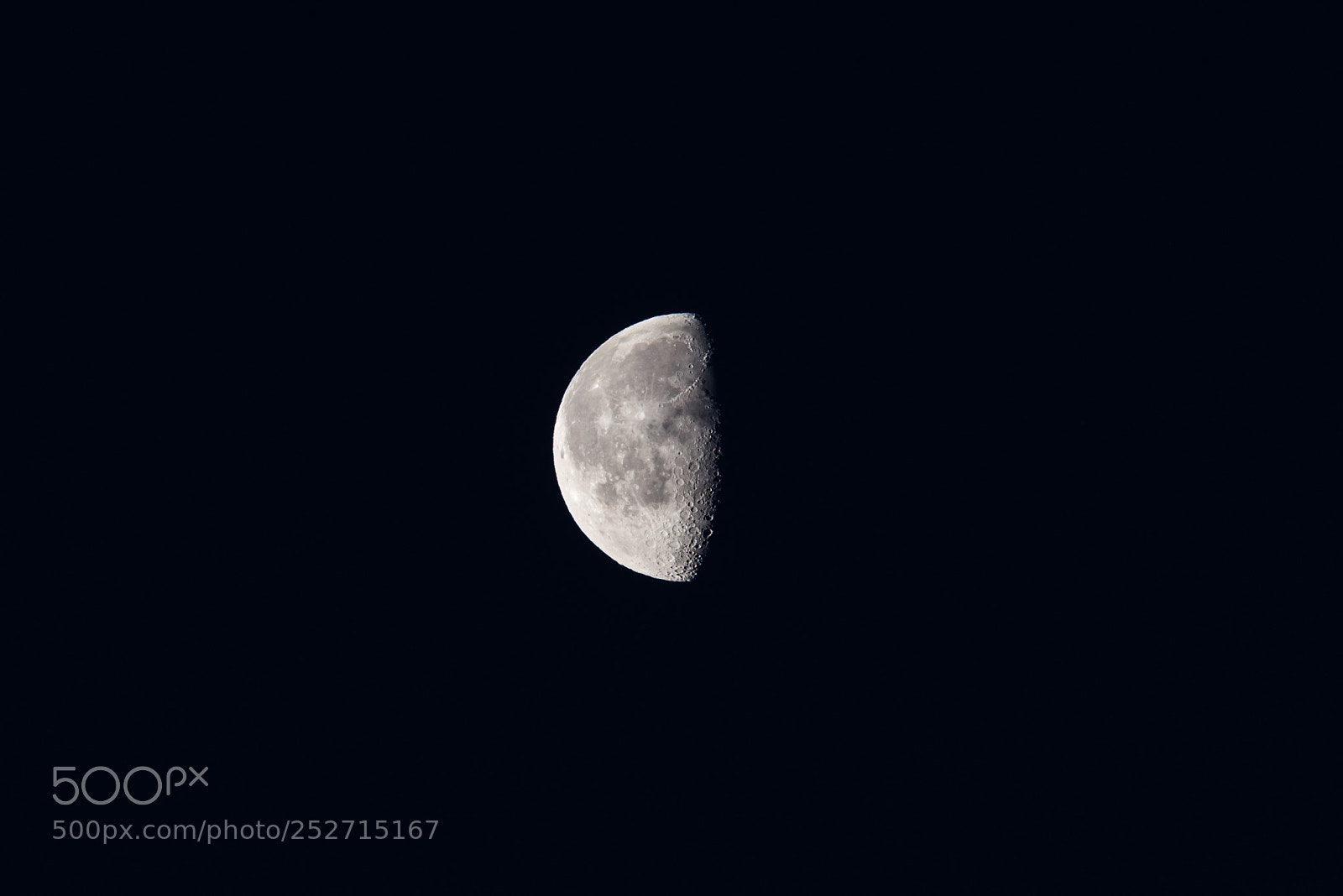 Nikon D810 sample photo. Half photography