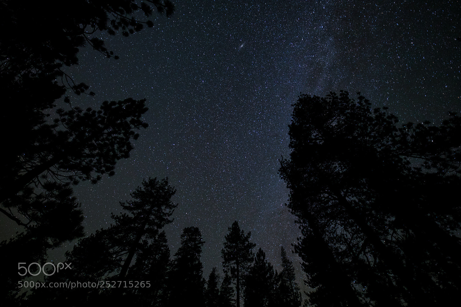 Canon EOS 5D Mark IV sample photo. Andromeda galaxy and the photography
